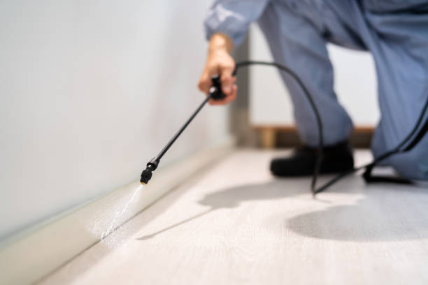 Licensed Fumigation Services service in Versailles, MO - Nex Pest Control