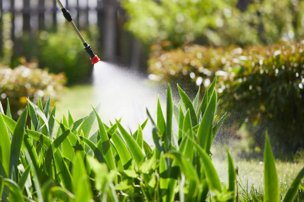 24/7 Emergency Fumigation Services experts in Versailles, MO
